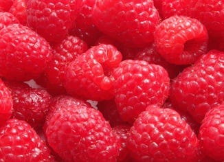 Red Raspberry