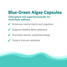 Blue Green Algae Capsules