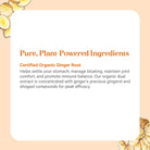 SuperPure Ginger Extract