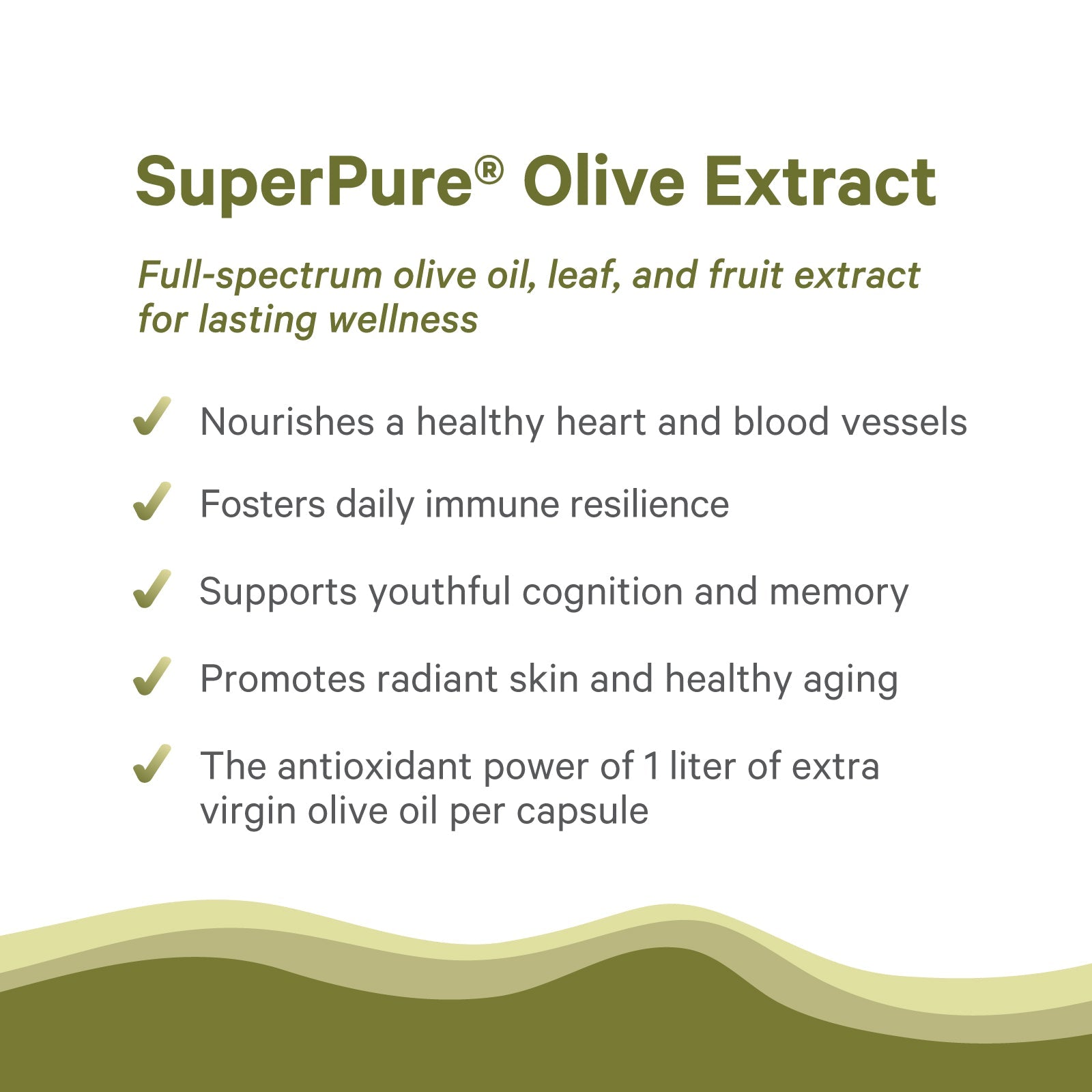 SuperPure Olive Extract