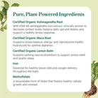 On a light green background with illustrated plants, Vita•Min•Balance® For Women by The Synergy Company features a list of plant-powered ingredients like ashwagandha, maca root, lemon balm, iron, and methylfolate to support women’s health.