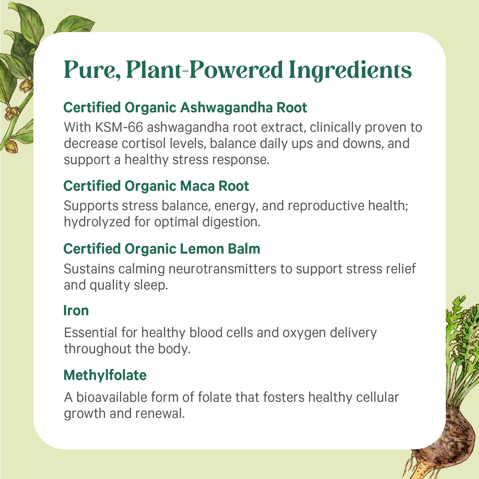 On a light green background with illustrated plants, Vita•Min•Balance® For Women by The Synergy Company features a list of plant-powered ingredients like ashwagandha, maca root, lemon balm, iron, and methylfolate to support women’s health.