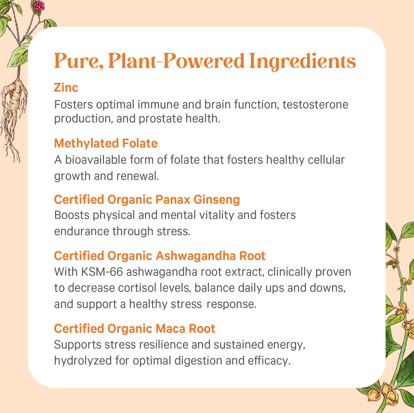 A decorative Pure, Plant-Powered Ingredients list for Vita•Min•Vitality® For Men by The Synergy Company highlights zinc, methylated folate, and certified organic adaptogen extracts like panax ginseng, ashwagandha root, and maca root for hormone health.