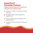 SuperPure Fucoidan Extract