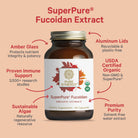 SuperPure Fucoidan Extract