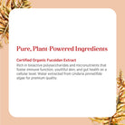 SuperPure Fucoidan Extract