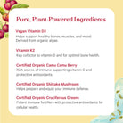 A vibrant yellow background adorned with fruit illustrations features a list titled "D3 + K2 Complex™" by The Synergy Company, showcasing pure, plant-powered ingredients like vegan vitamin D3, vitamin K2, organic Camu Camu Berry, organic shiitake mushrooms, and cruciferous greens. Each ingredient contributes its own distinctive health benefits.