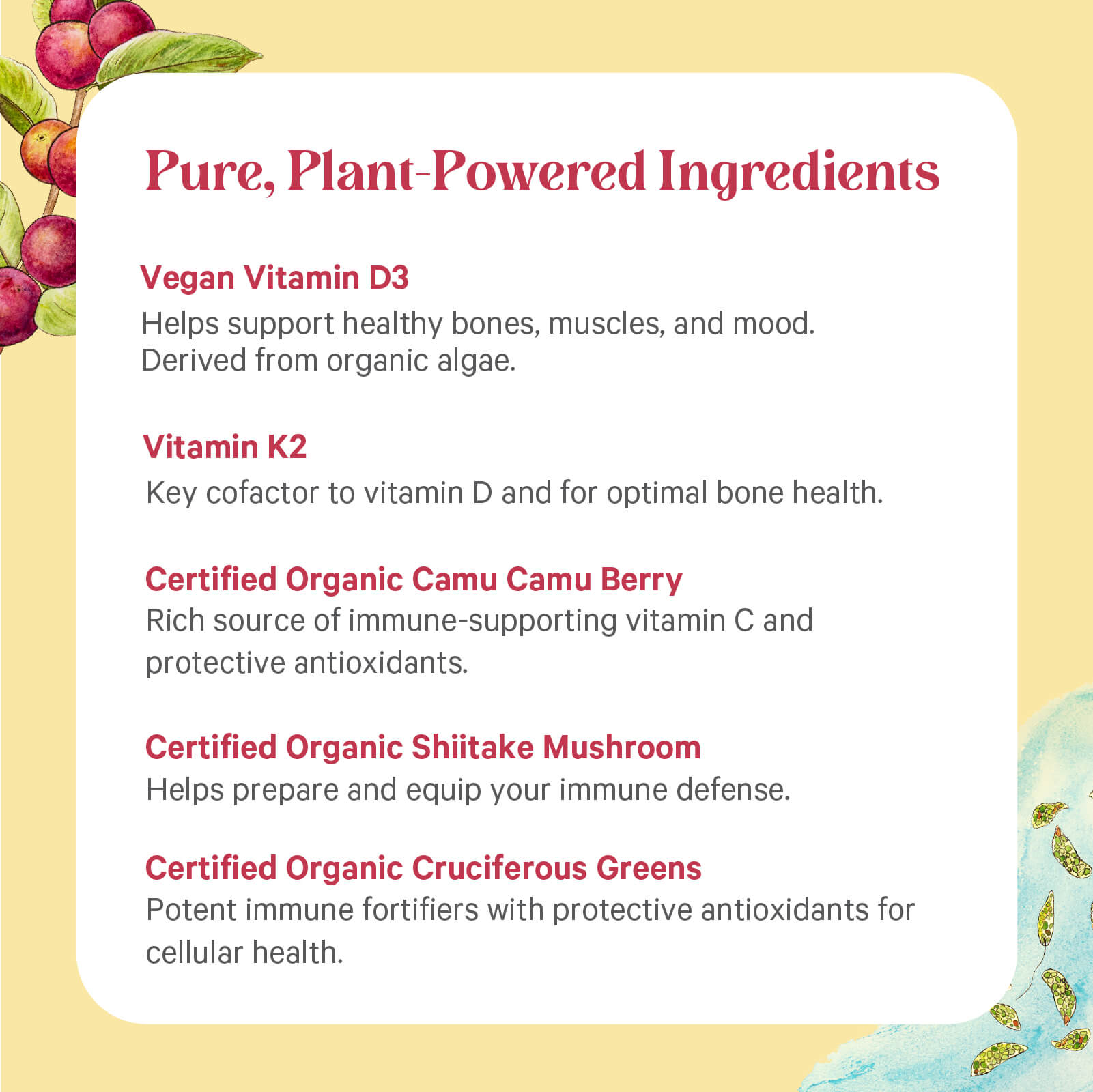 A vibrant yellow background adorned with fruit illustrations features a list titled "D3 + K2 Complex™" by The Synergy Company, showcasing pure, plant-powered ingredients like vegan vitamin D3, vitamin K2, organic Camu Camu Berry, organic shiitake mushrooms, and cruciferous greens. Each ingredient contributes its own distinctive health benefits.