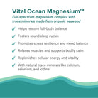 Text graphic highlighting Vital Ocean Magnesium™, a full-spectrum magnesium blend from mineralized seawater and organic seaweed, supporting balance, sleep, stress resilience, relaxation, energy, and providing essential trace minerals.