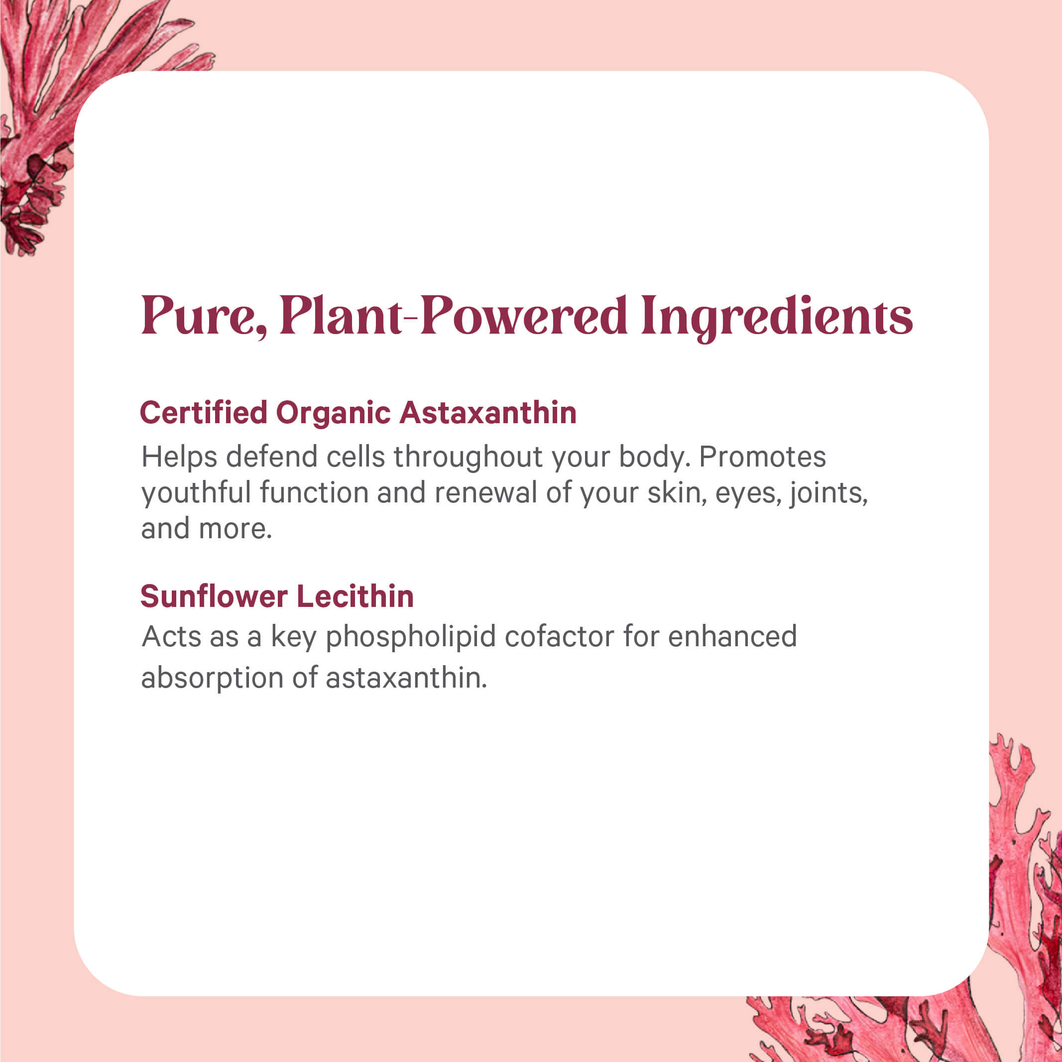 SuperPure Astaxanthin Extract - Astaxanthin Supplement Capsules Pure Synergy SuperPure Astaxanthin Extract - Astaxanthin Supplement Capsules Pure Synergy