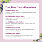 A list titled Pure, Plant-Powered Ingredients spotlights the health benefits of Organic Berry Power™ by The Synergy Company, featuring certified organic superfruits acai, acerola cherry, wild blueberry, baobab, and bilberry on a purple berry-illustrated background.