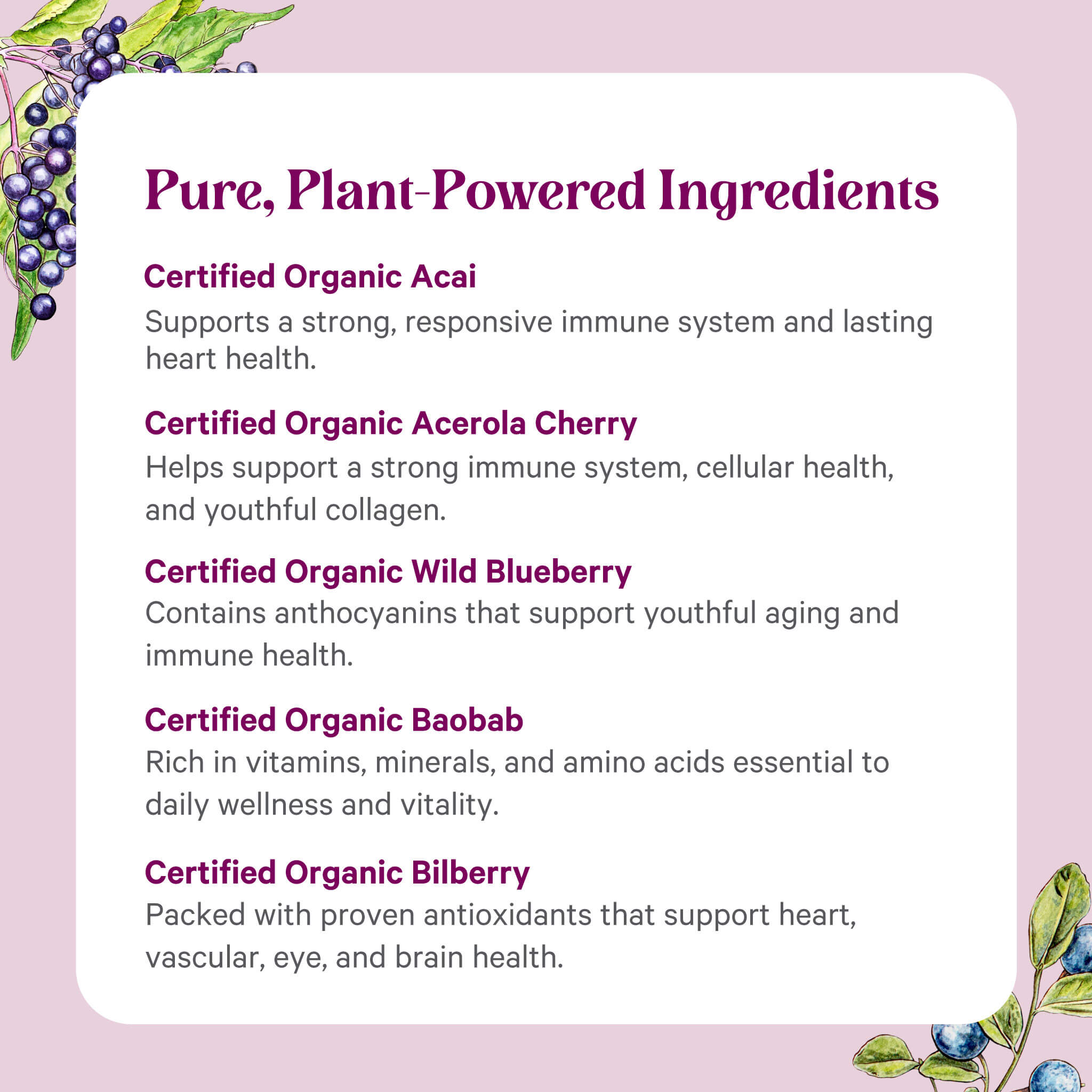 A list titled Pure, Plant-Powered Ingredients spotlights the health benefits of Organic Berry Power™ by The Synergy Company, featuring certified organic superfruits acai, acerola cherry, wild blueberry, baobab, and bilberry on a purple berry-illustrated background.