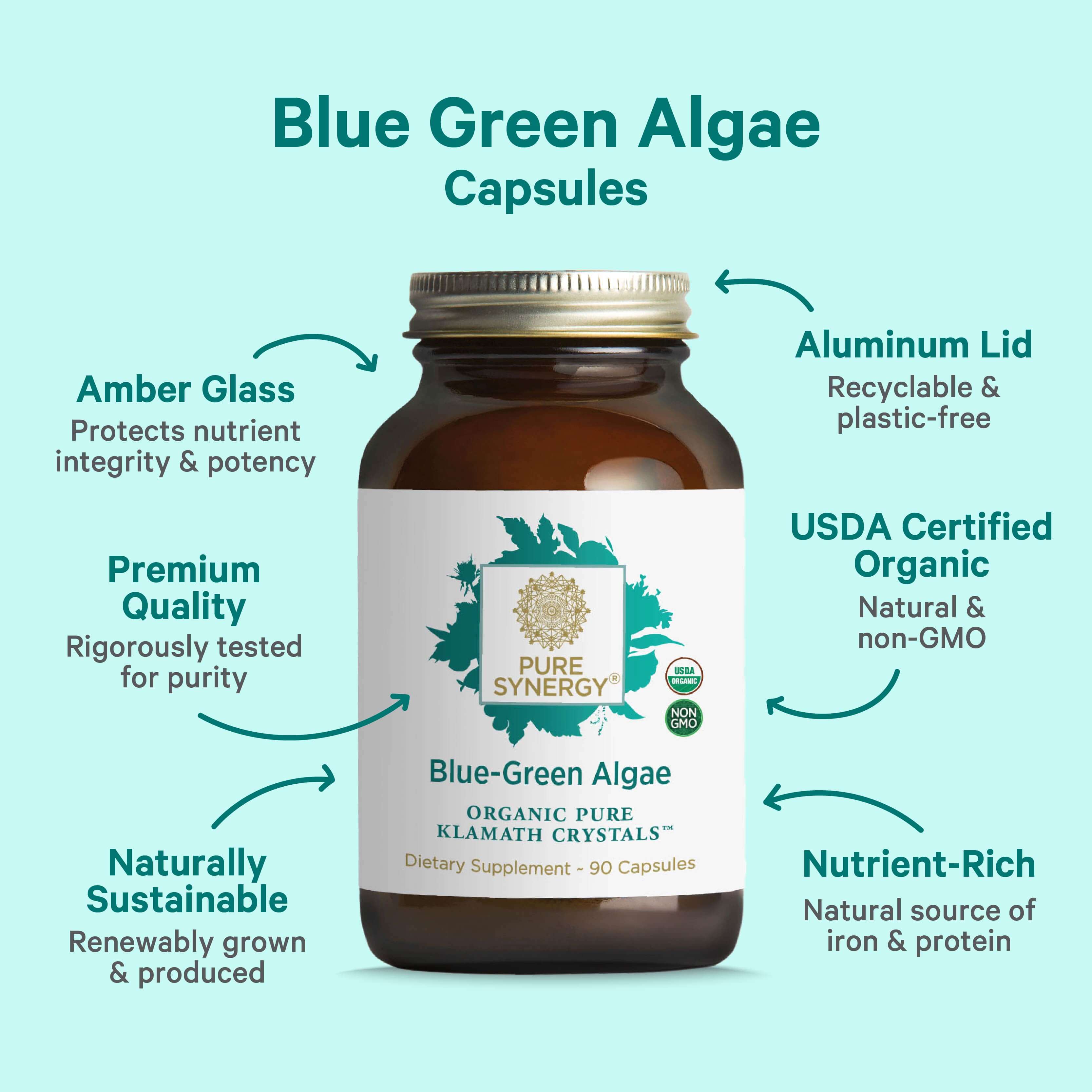 A picture shows a bottle labeled Organic Blue-Green Algae Capsules by The Synergy Company, with amber glass and an aluminum lid. These capsules offer a premium organic blend rich in chlorophyll from Aphanizomenon flos-aquae, providing nutrient-rich and naturally sustainable benefits. Contains 90 capsules.