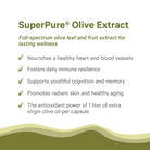 A flyer features SuperPure® Olive Extract, emphasizing its abundant antioxidants and potent polyphenols with five health-related claims, set against a white background accented by green wavy lines at the bottom.