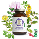 A bottle of Stress Remedy® by The Synergy Company is displayed with botanical illustrations. This certified organic, non-GMO dietary supplement uses ashwagandha and rhodiola extracts to aid stress balance and enhance focus with powerful adaptogens.