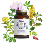 A bottle of Stress Remedy® by The Synergy Company is displayed with botanical illustrations. This certified organic, non-GMO dietary supplement uses ashwagandha and rhodiola extracts to aid stress balance and enhance focus with powerful adaptogens.