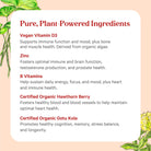 An infographic titled "Pure, Plant-Powered Ingredients" highlights the Vita•Min•Herb® For Men by The Synergy Company, featuring a blend of herbal multivitamins: Vegan Vitamin D3 for immune and muscle health, Zinc for brain and hormone function, B Vitamins for energy, Organic Hawthorn Berry for heart health, and Organic Gotu Kola for stress balance. Floral design adorns the background.