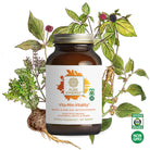 A bottle of The Synergy Company Vita•Min•Vitality® For Men multivitamin with adaptogen extracts is shown in front of illustrated herbs and berries, with USDA Organic and Non-GMO certification logos at the bottom right.