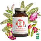 A brown bottle of Pure Radiance C® Powder, made with natural vitamin C from organic camu camu and acerola cherry, is displayed in front of illustrated fruits, leaves, and flowers, featuring USDA Organic and Non-GMO labels.