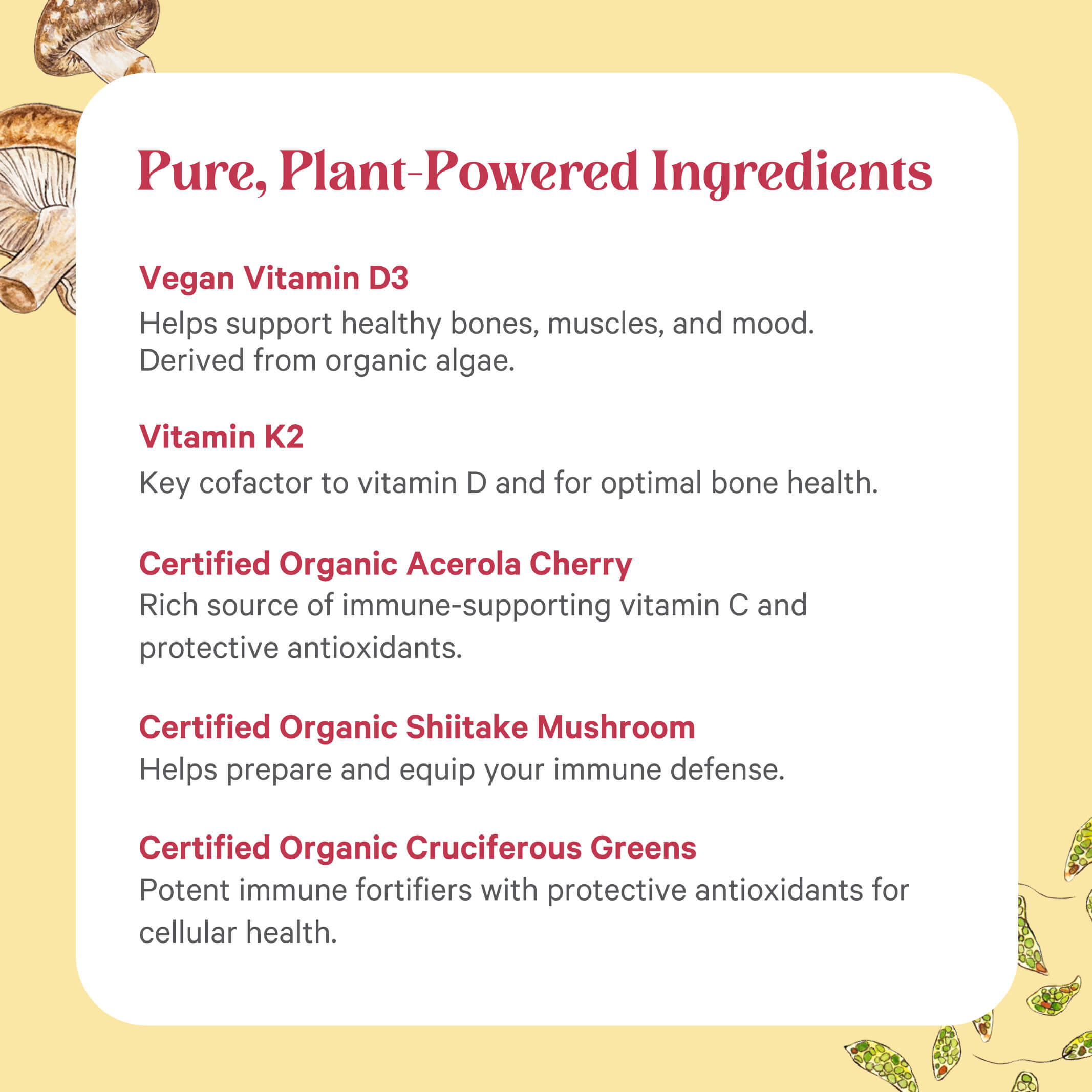 The Synergy Company D3 + K2 Complex™ highlights vegan vitamin D3, K2, organic Acerola Cherry, Shiitake Mushroom, and Cruciferous Greens—plant-powered ingredients—with descriptions on a yellow background featuring mushroom illustrations.
