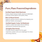 An informational graphic delves into the immune defense benefits of pure, plant-powered ingredients found in The Synergy Company's Immune Health™: Certified Organic Reishi Mushroom, Beta 1,3-Glucan Extract, Certified Organic Turkey Tail Mushroom, and Astragalus Root Extract. Discover nature's immune intelligence with these potent organic mushrooms.