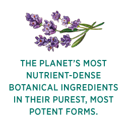 The planet's most nutrient-dense botanical ingredients in their purest, most potent forms.
