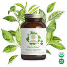 A brown jar of The Synergy Company Organic Matcha Power® Powder sits before green tea leaves, with USDA Organic and Non-GMO icons on the right, highlighting the sustainably grown organic matcha powder.