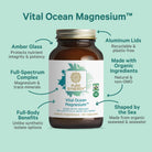 A brown glass bottle of Vital Ocean Magnesium™ rests on a teal background, featuring full-spectrum magnesium from mineralized seawater and organic seaweed, with organic ingredients and a recyclable lid.