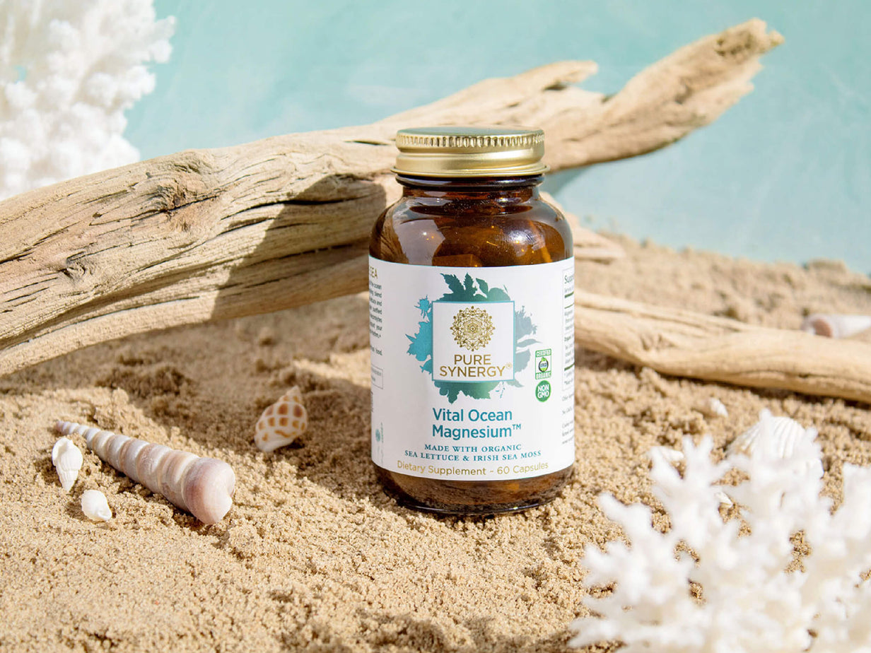 A bottle of Pure Synergy Vital Ocean Magnesium dietary supplement sits on sand, surrounded by seashells, white coral, and driftwood, with a blue background.