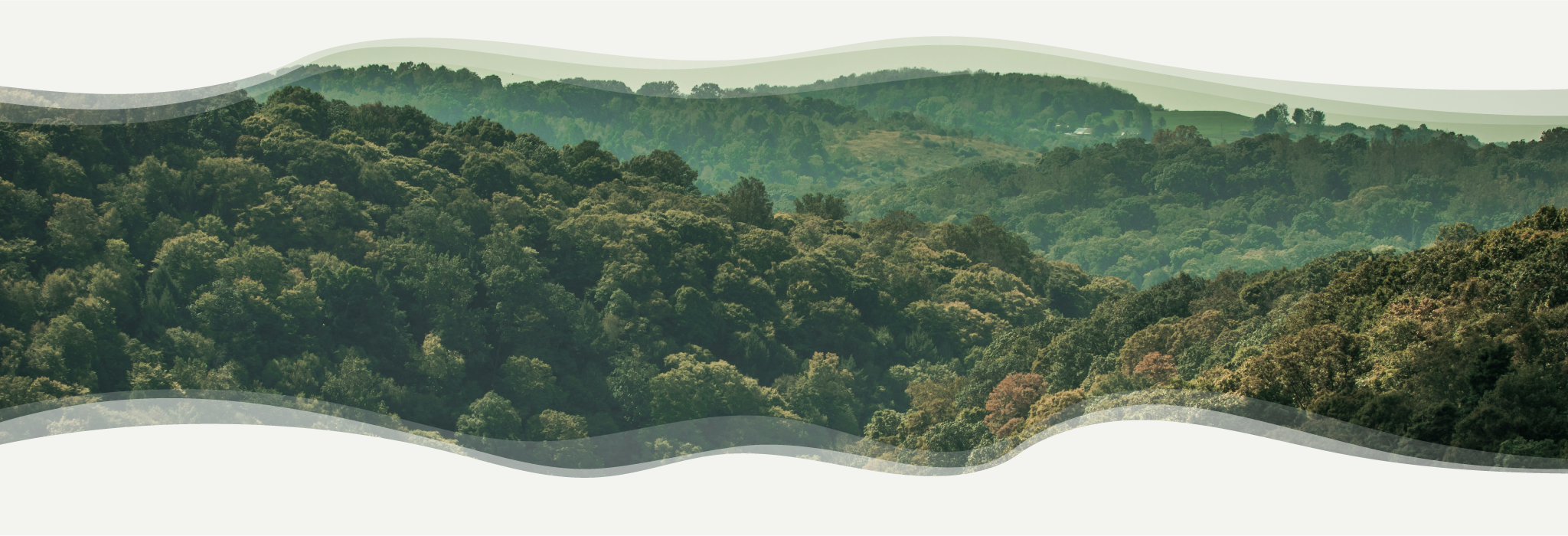 A panoramic view of densely forested hills with a soft, wavy border effect framing the image.
