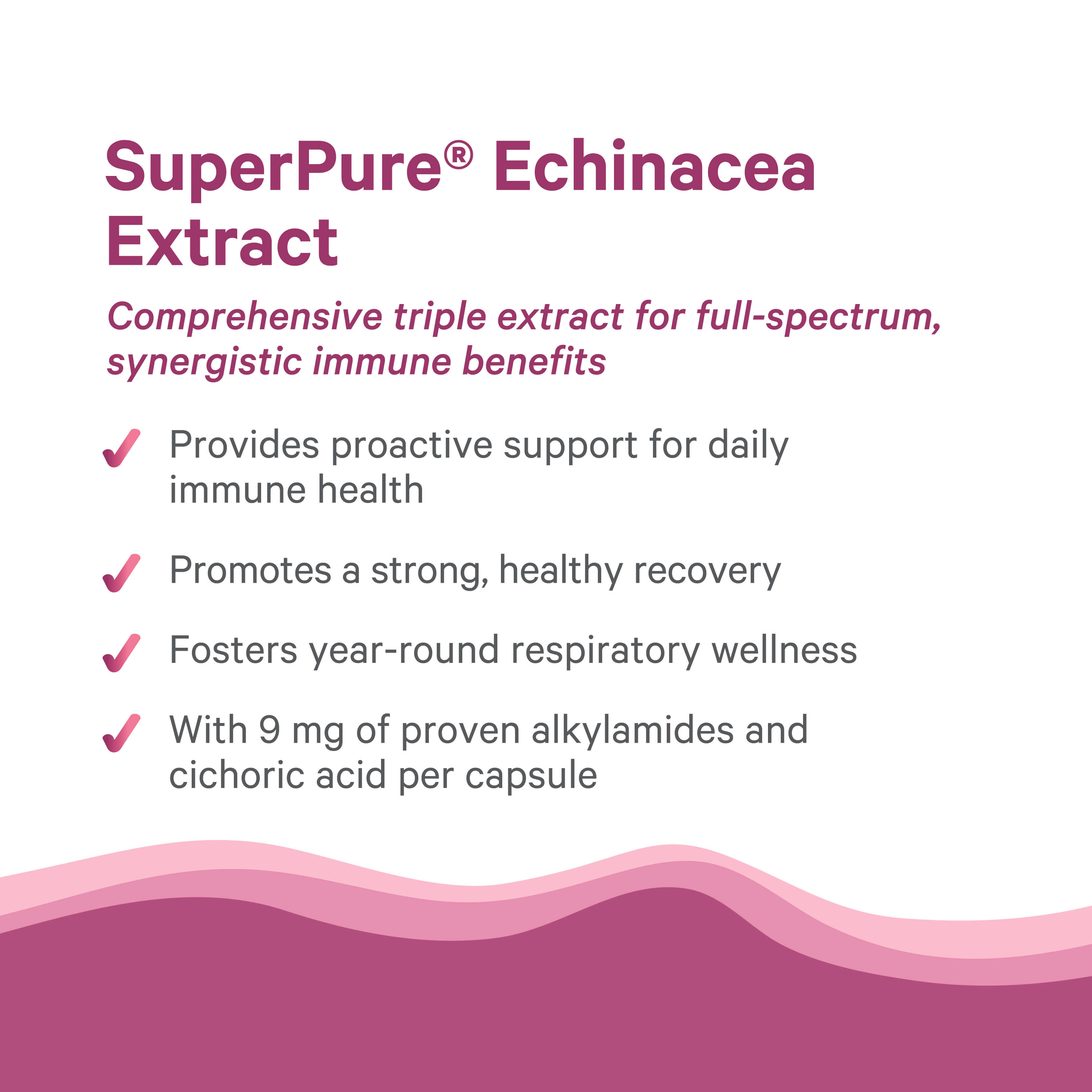 Echinacea Extract