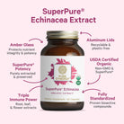 Echinacea Extract