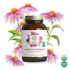 Echinacea Extract