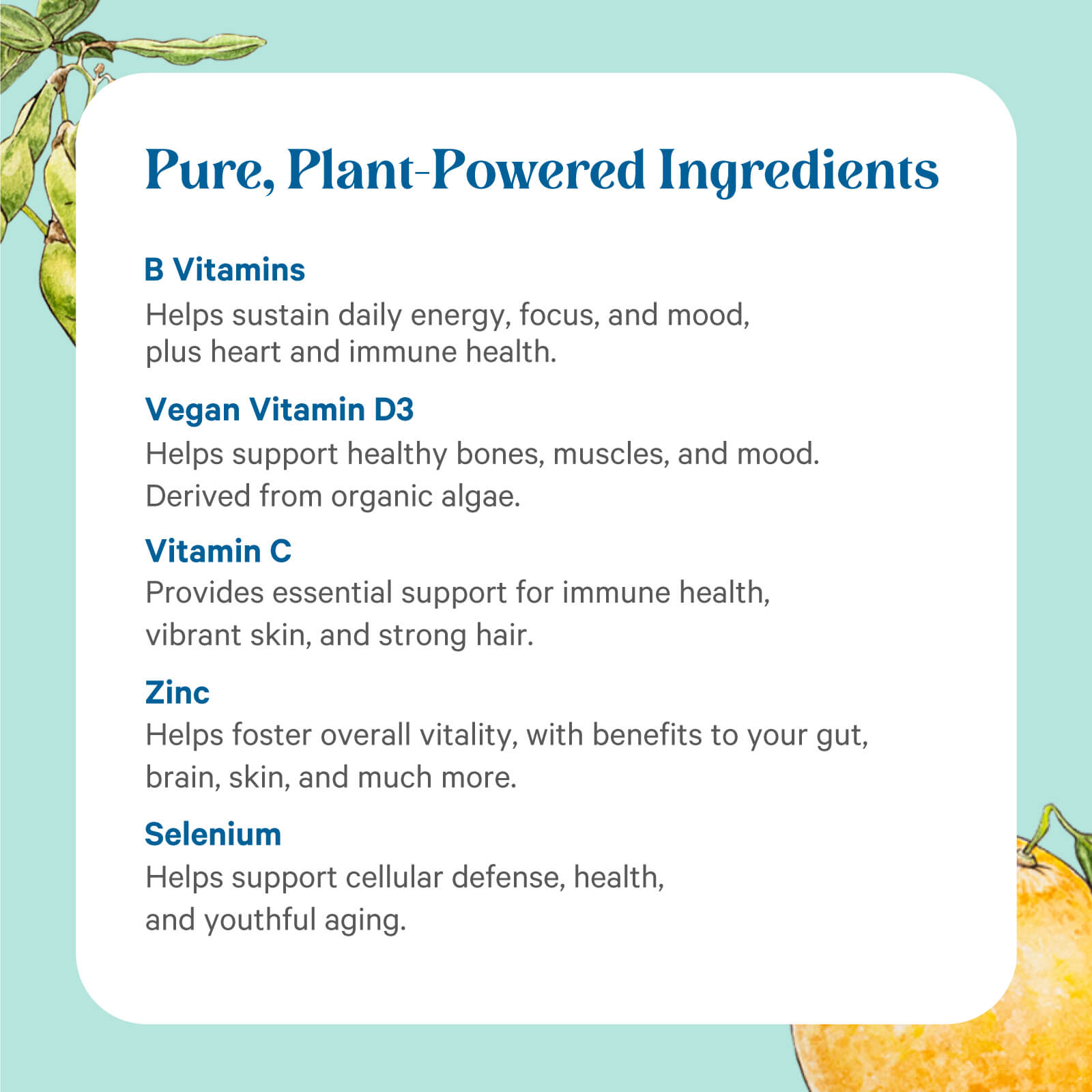 MultiVitaMin MultiVitaMin