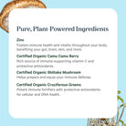 A description of Zinc Complex™ by The Synergy Company highlights a dynamic blend of pure, plant-powered ingredients on a blue backdrop, adorned with organic mushrooms in the corners. Key components such as Certified Organic Camu Camu Berry, Shiitake Mushroom, and Cruciferous Greens offer nurturing benefits for immune support and vitality.