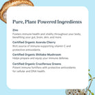 On a blue background, Zinc Complex™ by The Synergy Company highlights plant-powered immune ingredients: fermented zinc, organic acerola cherry, mushroom mycelia, and cruciferous greens—with brief health benefit descriptions.