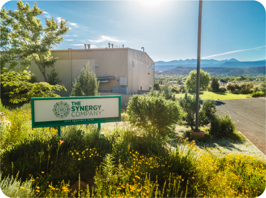 The Synergy Company building surrounded by greenery and wildflowers, with a sign displaying the company’s name in the foreground.